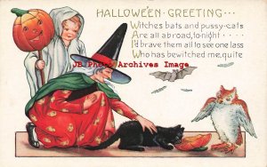 326023-Halloween, Whitney No WNY25-2, Witch Pets Black Cat, Owl, Bat, Boy Ghost