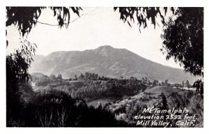 California  Mill Valley ME  Tamalpais