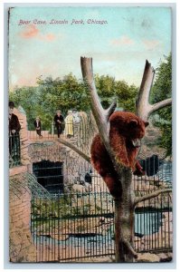 Chicago Illinois IL Postcard Bear Cave Lincoln Park Bear On Tree Scene c1910's