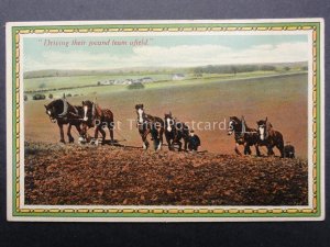 Country Scene SHIRE HORSE PLOUGHING Driving their Jocund Team Afield - Old PC