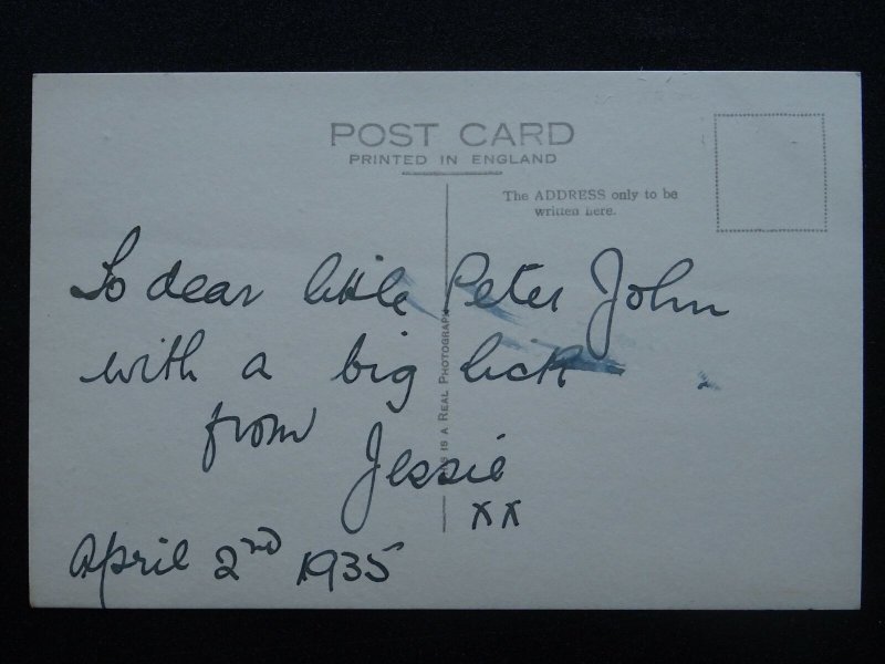 Portrait TERRIER Dog Breed TO DEAR LITTLE PETER JOHN c1930s RP Postcard