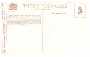 Dog ,  Saint Bernards , Return  to monastery