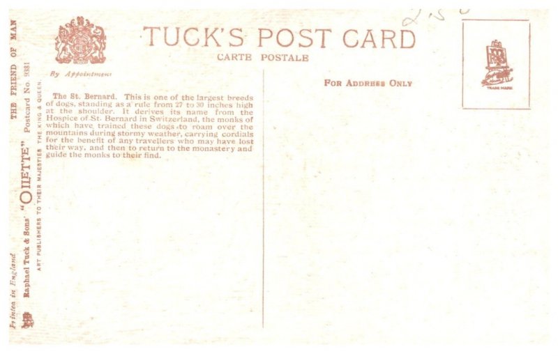 Dog ,  Saint Bernards , Return  to monastery