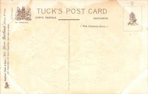 9152  Tuck's no.113  New Year  1908