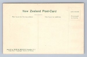 BOTANICAL GARDENS NELSON NEW ZEALAND POSTCARD (c.1910)