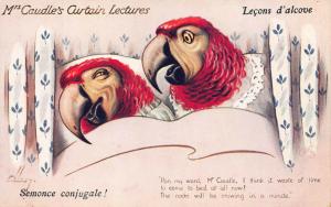 Mrs Caudle's Curtain Lectures Cocks Raphael Tuck #8684 Series II Postcard