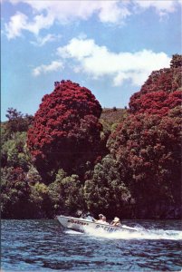 Postcard New Zealand - Rotura - Speedboat on Lake Okataina