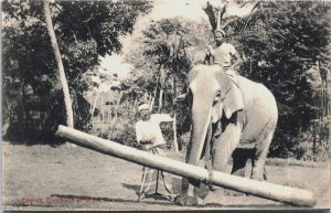 Ceylon Elephant at Work Sri Lanka Vintage Postcard C077