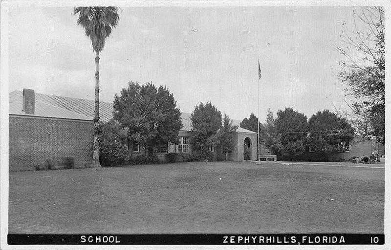 Zephyrhills FL School building RPPC Postcard