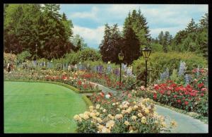 THE ROSE GARDEN - The Butchart Gardens