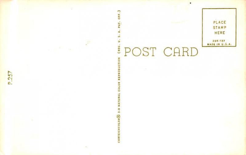 Comic Civil War Postcard