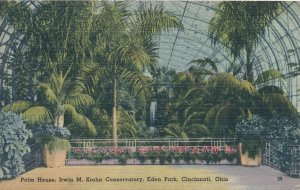 Eden Park Cincinnati, Ohio - Palm House at Krohn Conservatory - pm 1946 - Linen