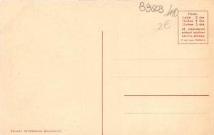 B9603 Sweden Toppofallet Trollhattan