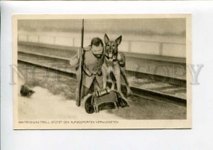 3159660 WWI German Shepherd Dog RED CROSS Medical dog & Wounded