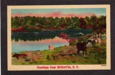 NY Greetings from CRAIGSVILLE NEW YORK Linen Postcard