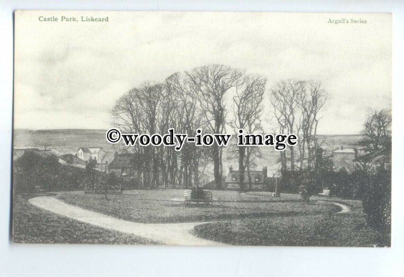 tq0630 - Cornwall - An Early View of Castle Park, in Liskeard - Postcard