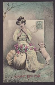 A Happy New Year,Woman,Pig Postcard