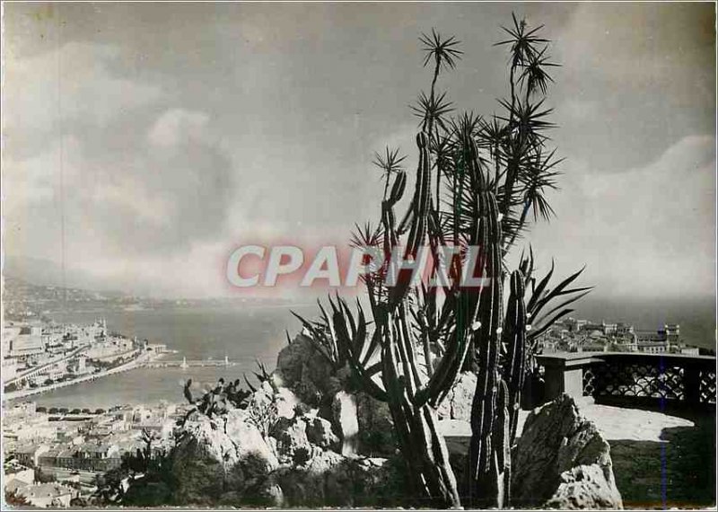 Postcard Modern Exotic Garden of Monaco in Monaco Pricipaute the view through...