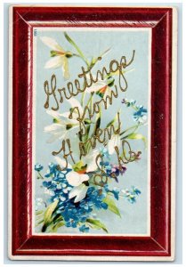 1909 Greetings From Glitter Flower Hoven South Dakota Vintage Antique Postcard