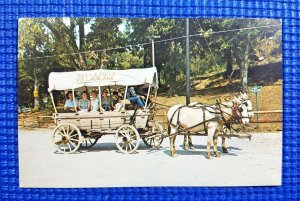 Bella Vista Arkansas Village Covered Wagon Palomino Mules Tourist Ride Postcard