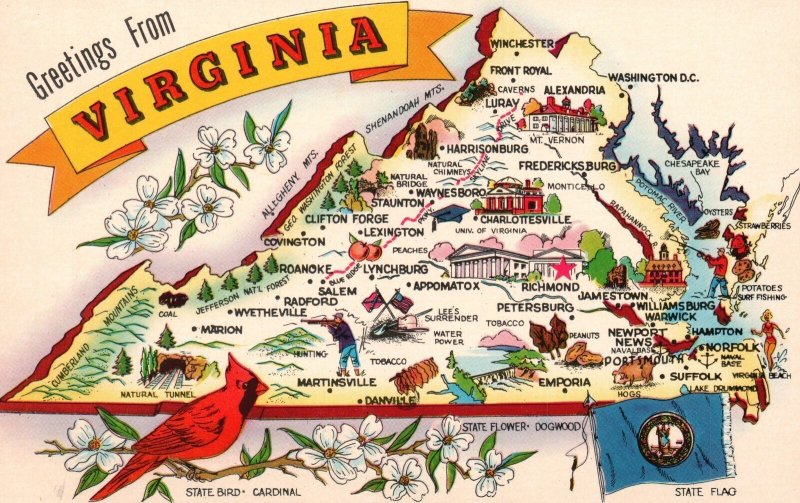 Vintage Postcard Greetings From Virginia Map And State's Historical Places Bird