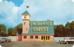 ENCHANTED CASTLE Enchanted Forest Old Forge, NY Roadside c1950s Vintage Postcard