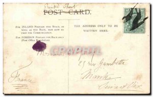 Great Britain Great Britain Old Postcard Caversham eel Bucks