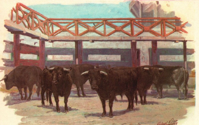Vintage Postcard 1910's Offset Villar y Trillas S.A. Cattle Animals Mexico D. F.