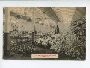 286966 NETHERLANDS HAARLEM Flower exhibition Vintage postcard