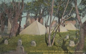 DADE MONUMENTS 5 MILES FROM WAHOO SWAMP NEAR ST. AUGUSTINE FLORIDA POSTCARD