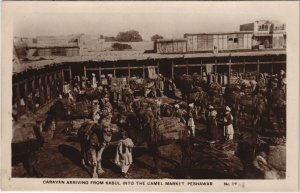 PC PAKISTAN, PESHAWAR, CAMEL MARKET, Vintage REAL PHOTO Postcard (b43424)