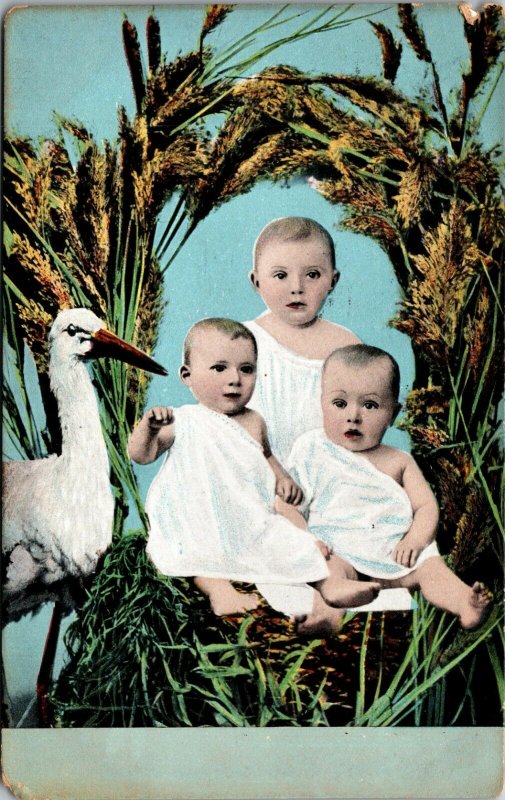 THREE BABIES in A BASKET w/ STORK ANTIQUE POSTCARD - VINTAGE POSTED