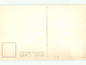 1960's REDWING BIRD WATCHING OTHER BIRD AC7044