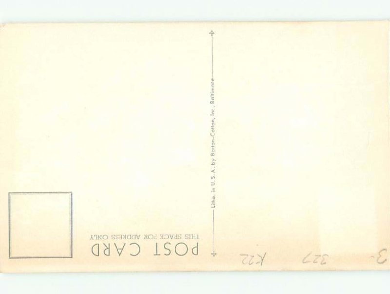 1960's REDWING BIRD WATCHING OTHER BIRD AC7044