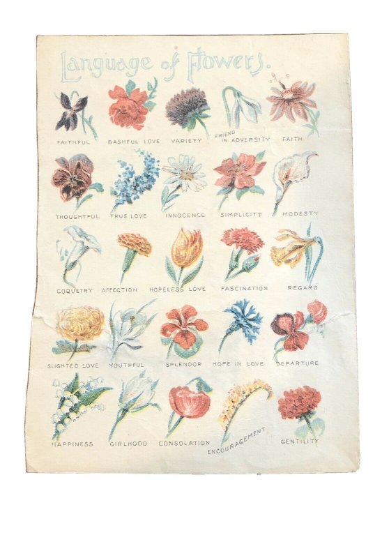 Language of Flowers - Victorian Trade Card