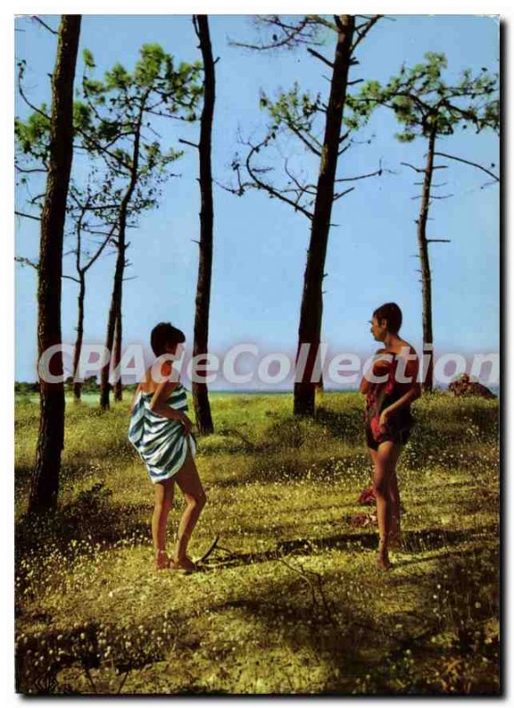 Postcard Modern Ile De Re Le Bois De Kit Shirt Des Portes De La Greve In Long