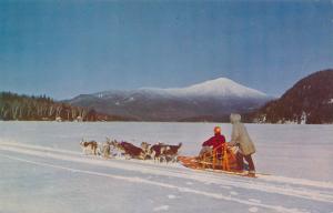 Husky Dog Team, Alaska, unused PC5321