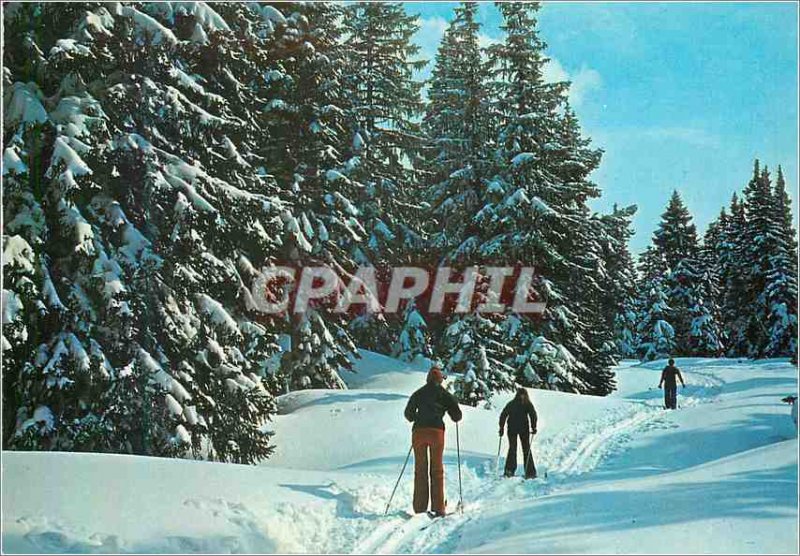 Modern Postcard The joys of skiing