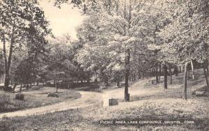 Bristol Connecticut Lake Compounce Picnic Area Antique Postcard K62419