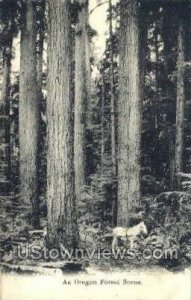 Forest Scene - Misc, Oregon OR  