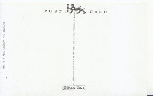 Gloucestershire Postcard - Cossack Square and Chestnut Hill - Nailsworth  U4291