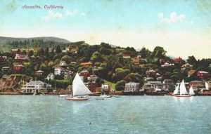 USA Sausalito California Vintage Postcard 03.72