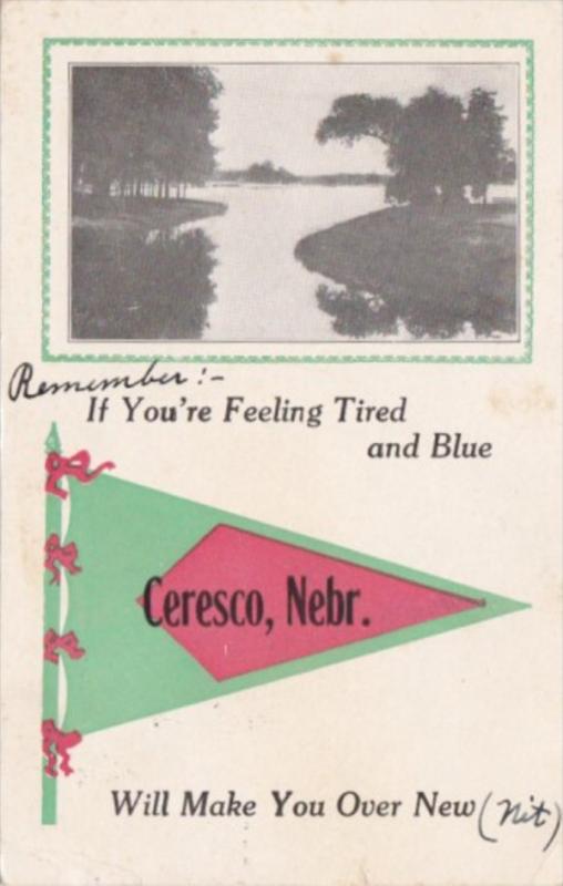 Pennant Series If You're Feeling Tired and Blue Ceresco Nebraska 1914