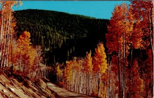 Estes Park Colorado Colorful Aspens 1956 to Crete Nebraska Postcard W18