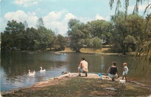 MD, Hagerstown, Maryland, City Park Lake, Feeding Swans & Ducks