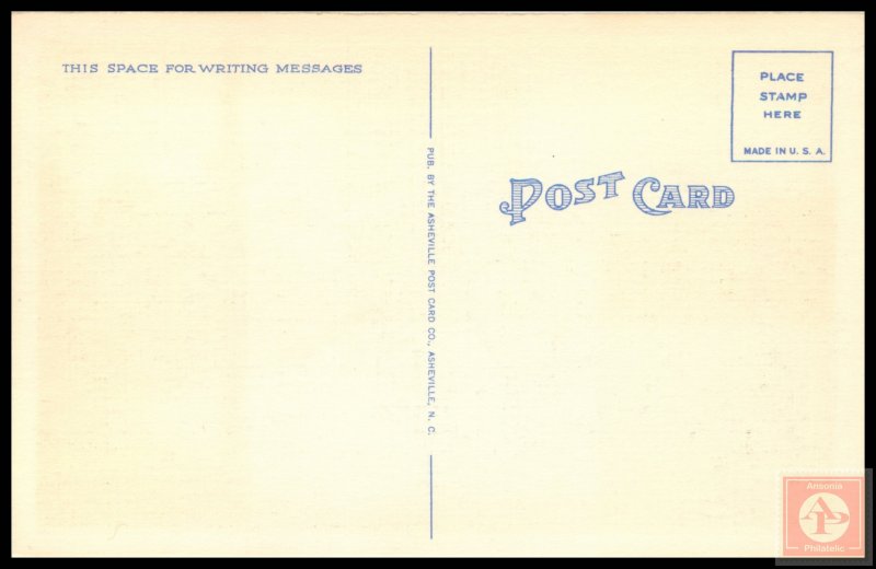 A romantic Southern Moonlight Scene