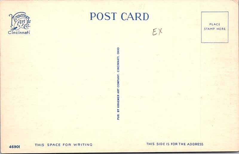 POSTCARD SCENE Cincinnati Ohio OH AM2595