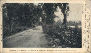 St Albans Lake View Vermont VT c1900 Private Mailing Card Postcard