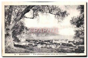 Old Postcard Jack Beaulieu Vue Generale Between the Olives