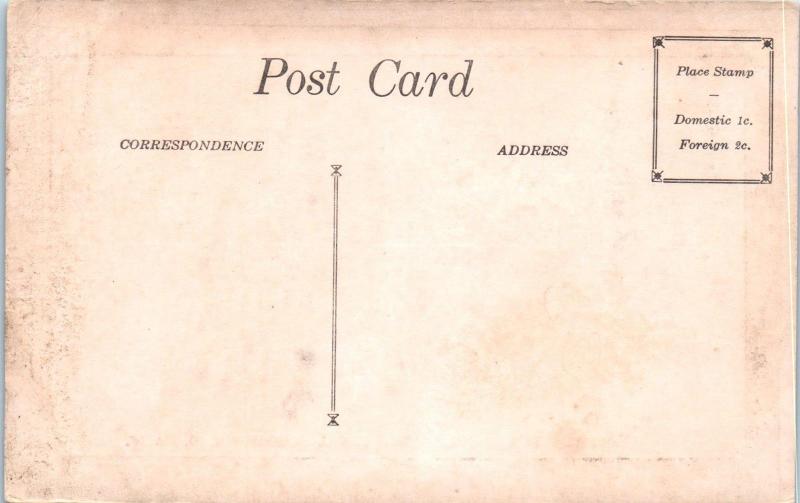 CHICO, CA California   STATE NORMAL SCHOOL  &  Street Scene  c1910s   Postcard